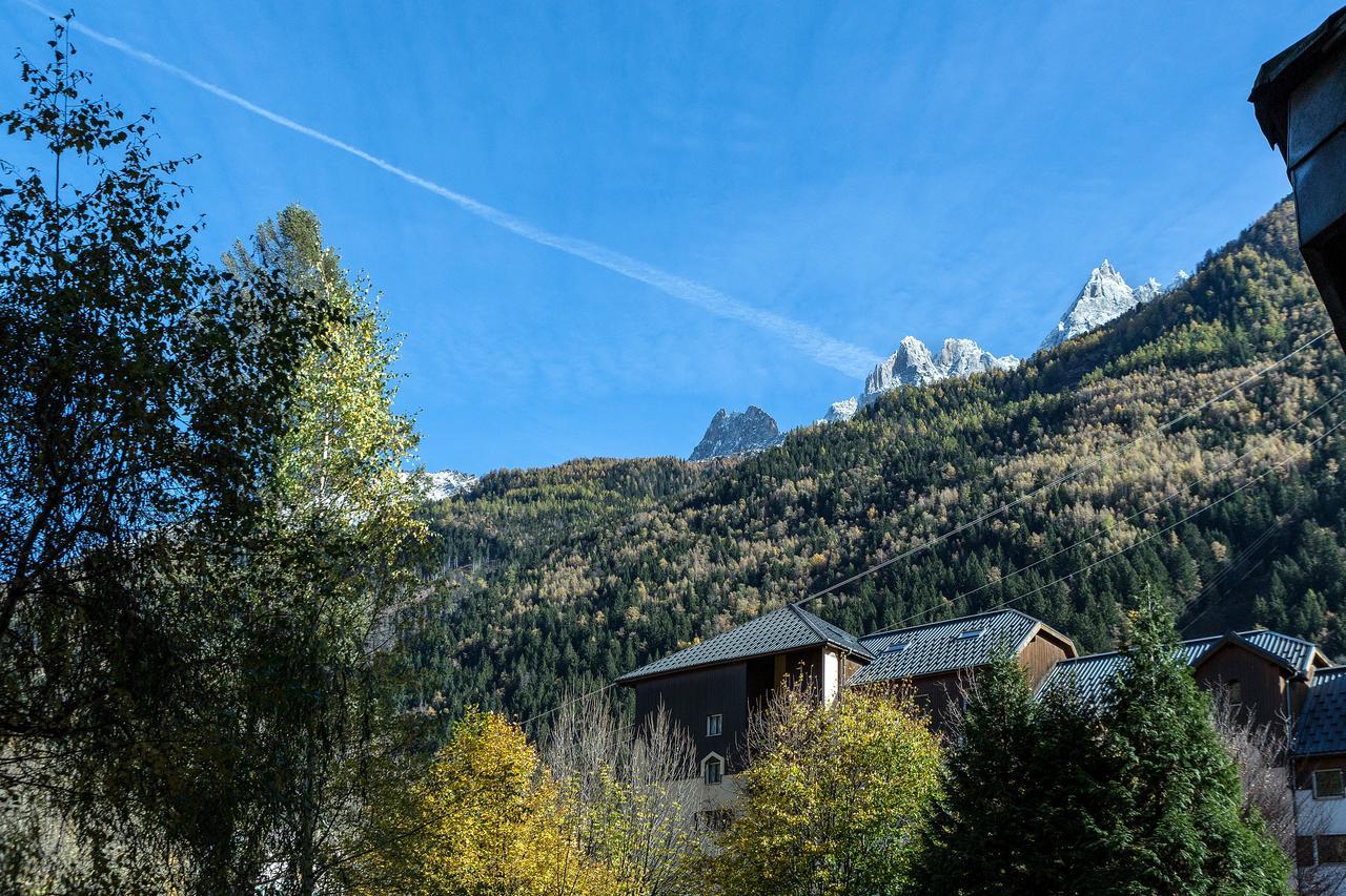 Apartment Chamois Blanc 1 - Central Chamonix Haven Екстер'єр фото